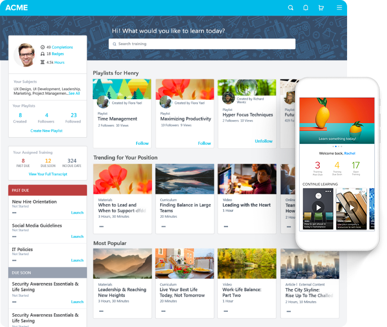 Moodle Alternatives